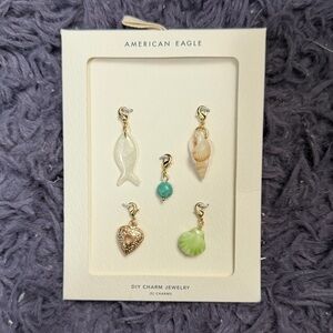 American eagle charm set